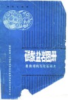 碳酸盐岩图册  显微结构与化石碎片