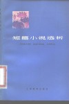 短篇小说选析