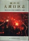 重庆市大渡口区志 封面