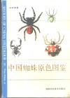 中国蜘蛛原色图鉴