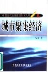 城市聚焦经济  一般理论及其对中国城市化问题的应用分析