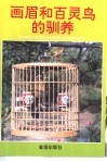 画眉和百灵鸟的驯养