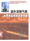 国外深层气藏水平井定向井完井技术