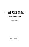 中国名牌命运  企业品牌策划大战内幕  当代中国企业忧思录