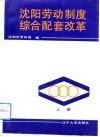 沈阳劳动制度综合配套改革  上