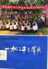 一批二干三带头  屯昌县学大寨、建设大寨县的基本经验验