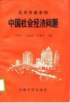 改革开放中的中国社会经济问题