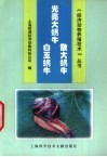 光亮大蜗牛·散大蜗牛·白玉蜗牛