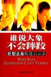 谁说大象不会〓跤  巨型企业败落启示录