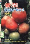 番茄优质高产栽培法