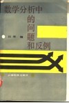 数学分析中的问题和反例 封面