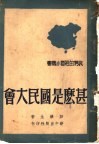 什么是国民大会