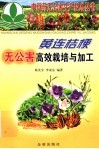 黄连桔梗无公害高效栽培与加工