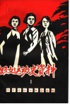 妇女运动史资料  第1集  女烈士英雄事迹专辑