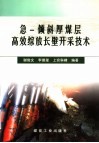 急－倾斜厚煤层高效综放长壁开采技术