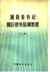 团县委书记岗位职务培训教程  上