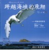 跨越海峡的飞翔  镜头中的黑脸琵鹭