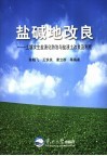 盐碱地改良  土壤次生盐渍化防治与盐渍土改良及利用