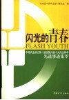 闪光的青春  中国农业银行第一届至第六届十大杰出青年先进事迹集萃