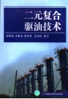 二元复合驱油技术 封面
