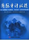 国际审计纵横  第11集
