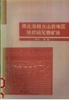 西北海相火山岩地区块状硫化物矿床