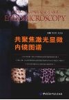 共聚焦激光显微内镜图谱