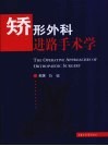 矫形外科进路手术学