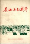 长山上的战斗 封面