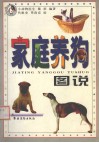 家庭养狗图说