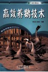 高效养鹅技术 封面