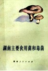 湖南主要食用菌和毒菌 封面