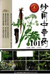 妙用中草药101种  畅销版