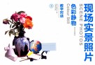 教学对话  色彩静物  花卉文体用品  现场实景照片