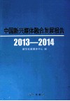 中国新兴媒体整合发展报告  2013-2014