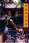 中国嵩山少林寺武功传世秘笈  少林寺五形拳