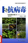 抗病毒中草药及处方 封面