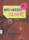 徜徉在人体河流中的红细胞 封面