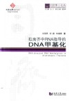 同济博士论丛  拟南芥中RNA指导的DNA甲基化
