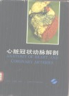 心脏冠状动脉解剖 封面