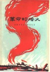 革命的烽火  金寨县革命斗争回忆录