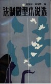 法制微型小说选