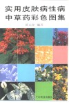 实用皮肤病性病中草药彩色图集