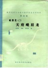 四川自贡大山铺中侏罗世恐龙动物群  第4集  蜥脚类  2  天府峨眉龙