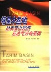 塔里木盆地轮南潜山岩溶及油气分布规律