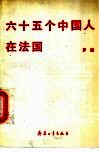 六十五个中国人在法国