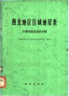 西北地区区域地层表