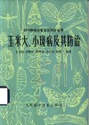 玉米大、小斑病及其防治