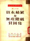 政治经济学教程  第7分册  资本积累与无产阶级贫困化
