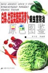 白菜  甘蓝类蔬菜及萝卜病虫害防治原色图鉴